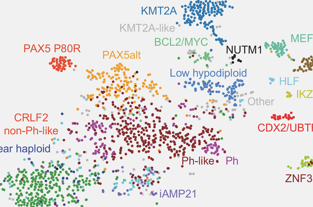 TSNE Plot Example